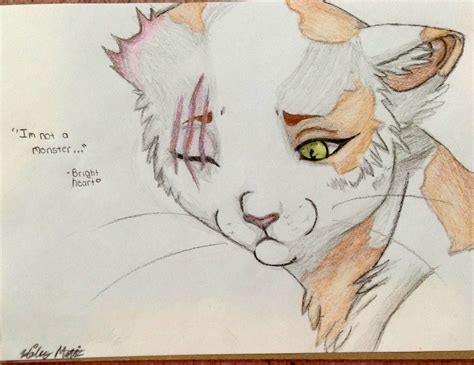 warrior cat drawing|warrior cat drawings with pencil.